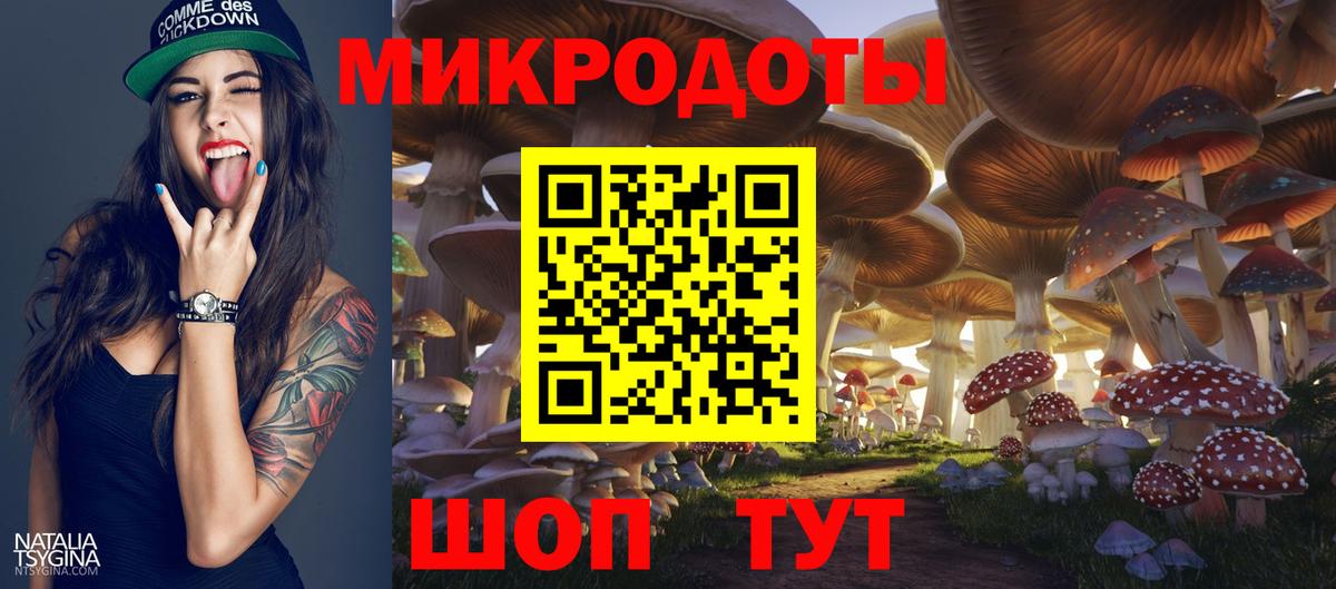 Псилоцибиновые грибы Cubensis Будённовск